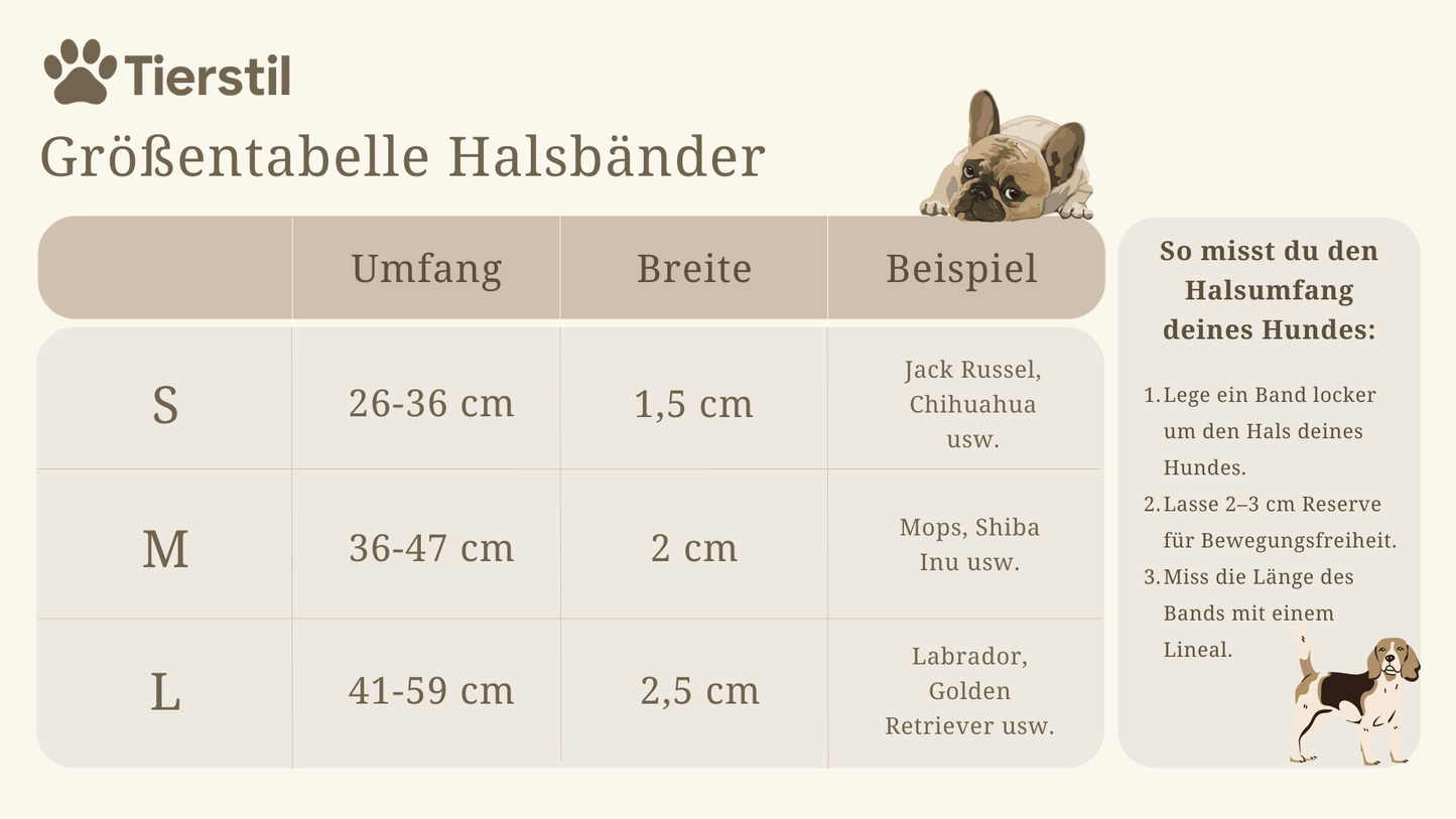 Stilvolles Set aus PVC - Hundehalsband & passender Leine - Tierstil