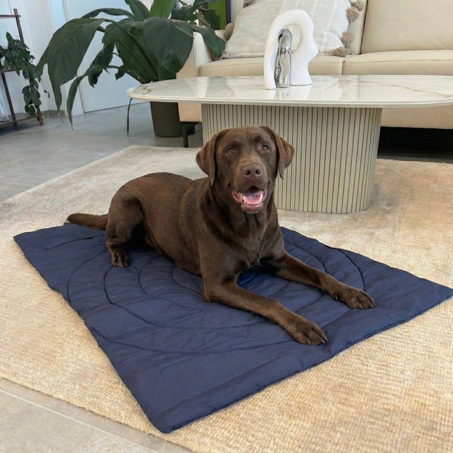 Everywhere Home – der mobile Ruheplatz - Tierstil