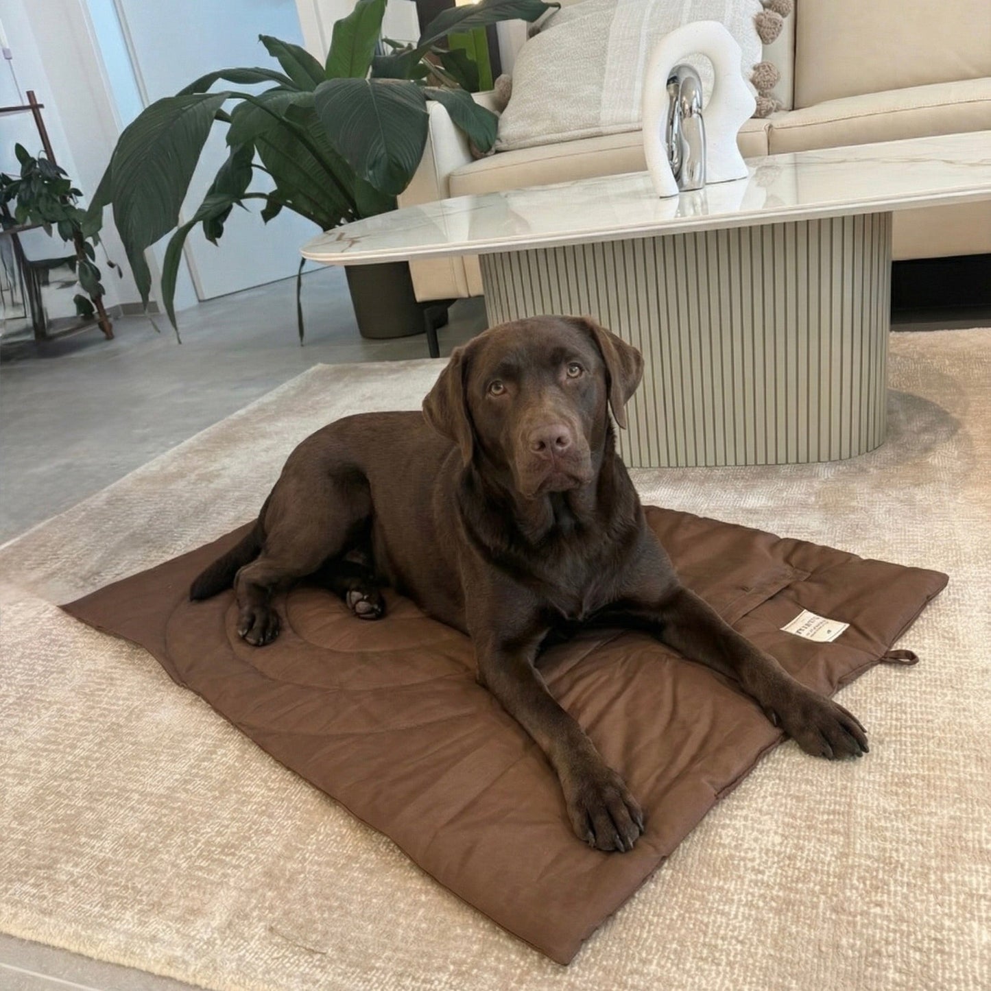 Everywhere Home – der mobile Ruheplatz - Tierstil