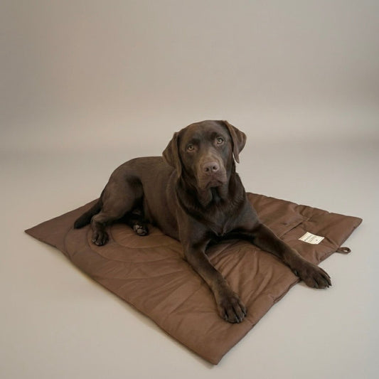 Everywhere Home – der mobile Ruheplatz - Tierstil