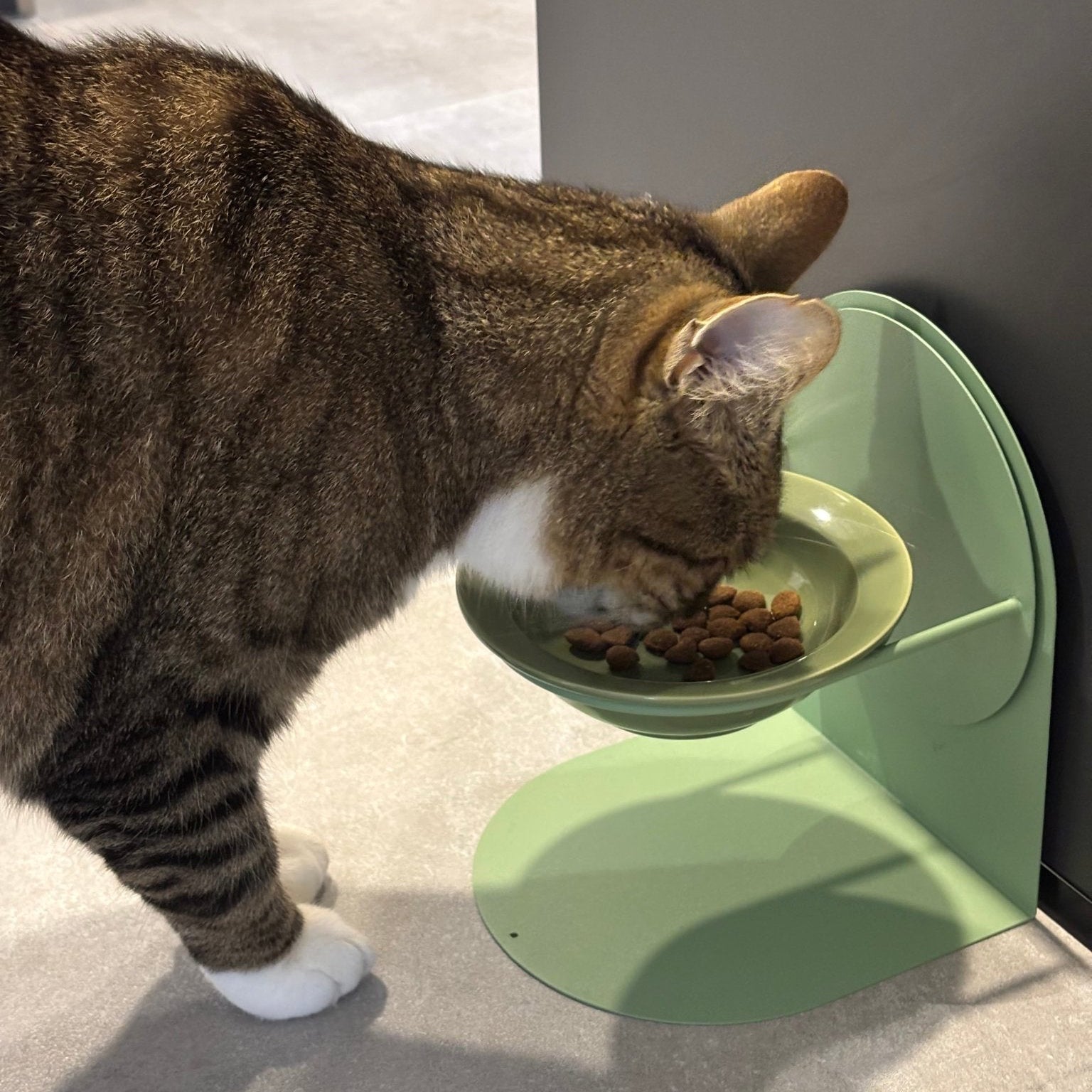 Höhenverstellbarer Fressnapf für Katzen - Tierstil