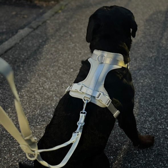 Hundegeschirr Set – inkl. Leine & Beutelhalter - Tierstil