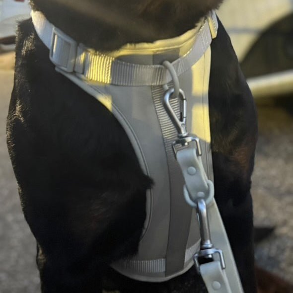 Hundegeschirr Set – inkl. Leine & Beutelhalter - Tierstil