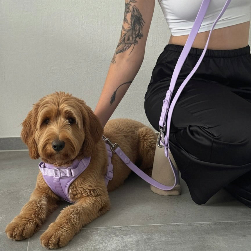 Hundegeschirr Set – inkl. Leine & Beutelhalter - Tierstil