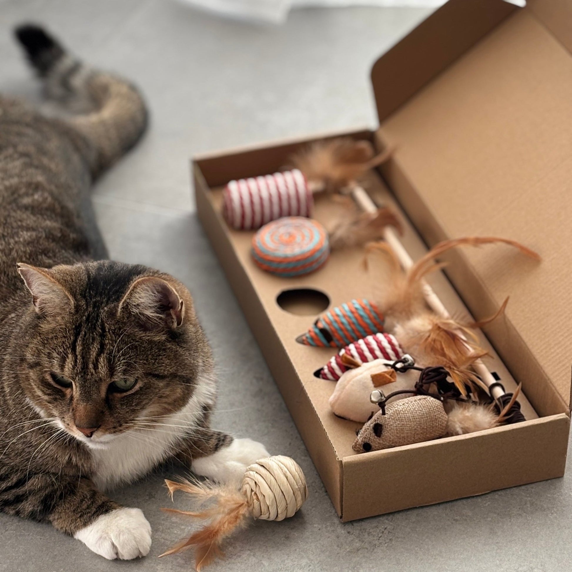 Katzen - Spielzeugset – mit Federn & Sisal - Tierstil